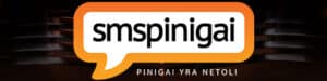 SMSpinigai logotipas